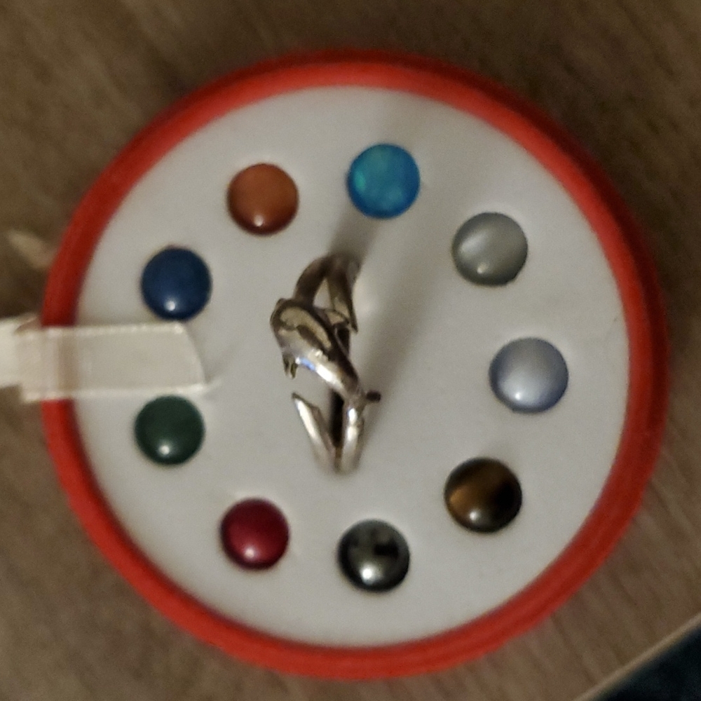 Sterling Silver Interchangeable Ring - image 1